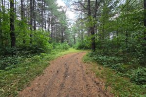 On Oak Ridge Rd, , Harshaw,  WI 54529 USA