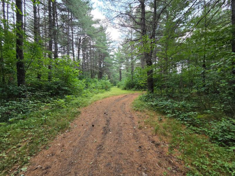 On Oak Ridge Rd, , Harshaw,  WI 54529 USA