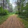 On Oak Ridge Rd, , Harshaw,  WI 54529 USA