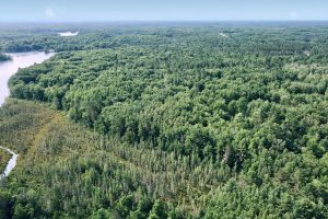 On Oak Ridge Rd, , Harshaw,  WI 54529 USA