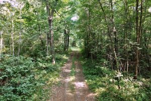 On Oak Ridge Rd, , Harshaw,  WI 54529 USA