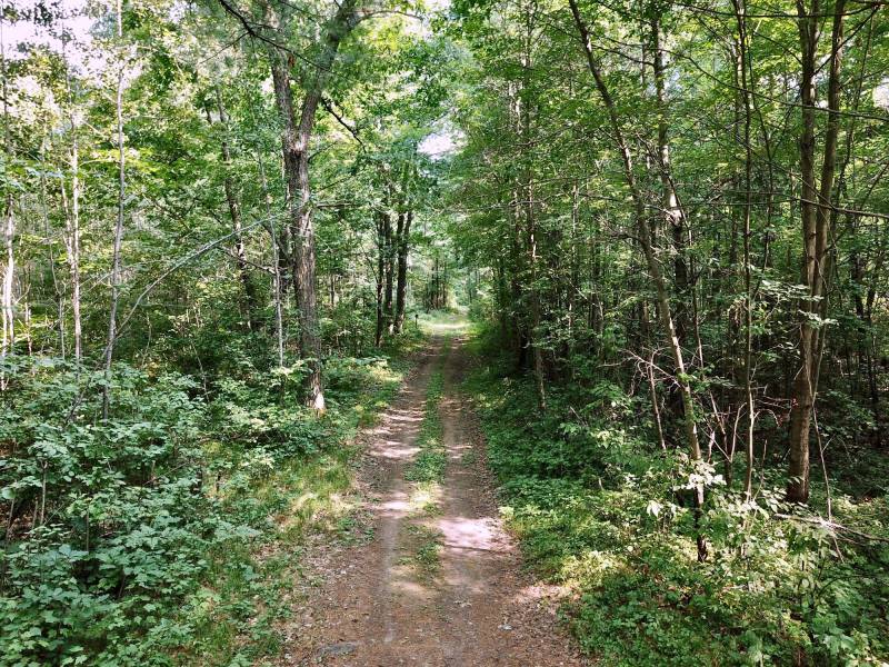 On Oak Ridge Rd, , Harshaw,  WI 54529 USA