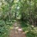 On Oak Ridge Rd, , Harshaw,  WI 54529 USA