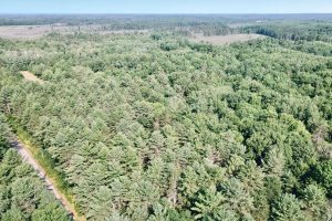 On Oak Ridge Rd, , Harshaw,  WI 54529 USA