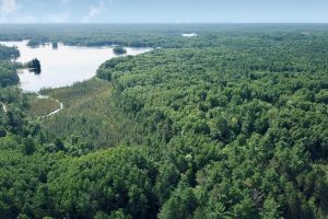 On Oak Ridge Rd, , Harshaw,  WI 54529 USA