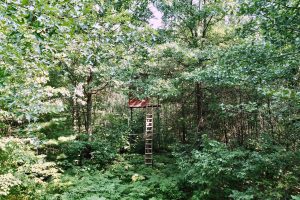 On Oak Ridge Rd, , Harshaw,  WI 54529 USA