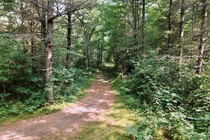 On Oak Ridge Rd, , Harshaw,  WI 54529 USA