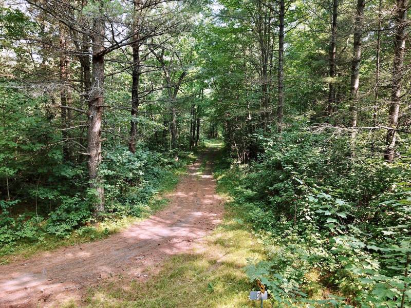 On Oak Ridge Rd, , Harshaw,  WI 54529 USA