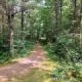 On Oak Ridge Rd, , Harshaw,  WI 54529 USA