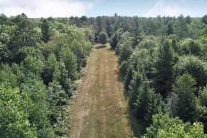 On Oak Ridge Rd, , Harshaw,  WI 54529 USA