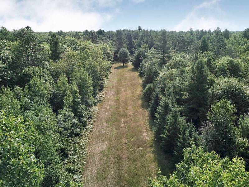 On Oak Ridge Rd, , Harshaw,  WI 54529 USA