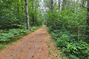On Oak Ridge Rd, , Harshaw,  WI 54529 USA