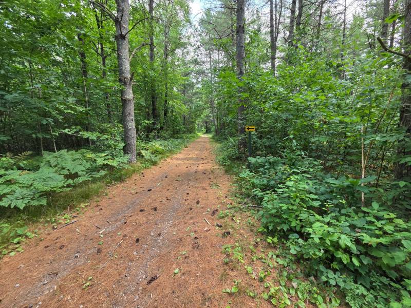 On Oak Ridge Rd, , Harshaw,  WI 54529 USA