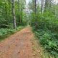 On Oak Ridge Rd, , Harshaw,  WI 54529 USA