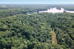On Oak Ridge Rd, , Harshaw,  WI 54529 USA
