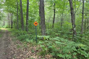 On Oak Ridge Rd, , Harshaw,  WI 54529 USA