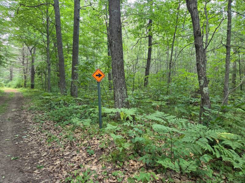 On Oak Ridge Rd, , Harshaw,  WI 54529 USA