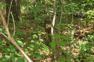 On Oak Ridge Rd, , Harshaw,  WI 54529 USA