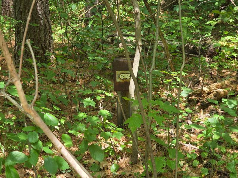 On Oak Ridge Rd, , Harshaw,  WI 54529 USA