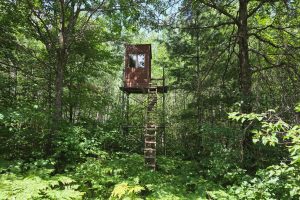 On Oak Ridge Rd, , Harshaw,  WI 54529 USA