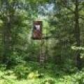 On Oak Ridge Rd, , Harshaw,  WI 54529 USA