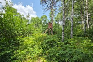 On Oak Ridge Rd, , Harshaw,  WI 54529 USA