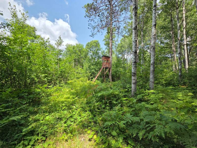 On Oak Ridge Rd, , Harshaw,  WI 54529 USA