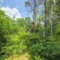 On Oak Ridge Rd, , Harshaw,  WI 54529 USA