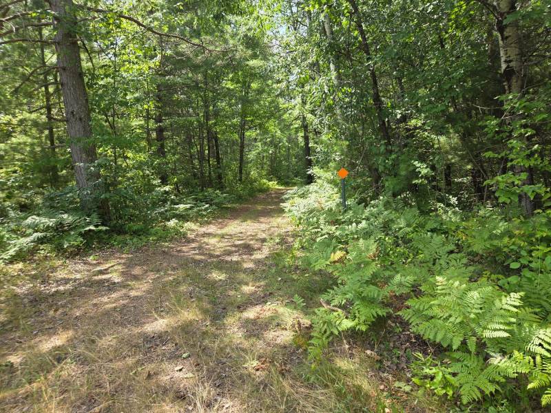 On Oak Ridge Rd, , Harshaw,  WI 54529 USA
