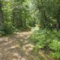 On Oak Ridge Rd, , Harshaw,  WI 54529 USA