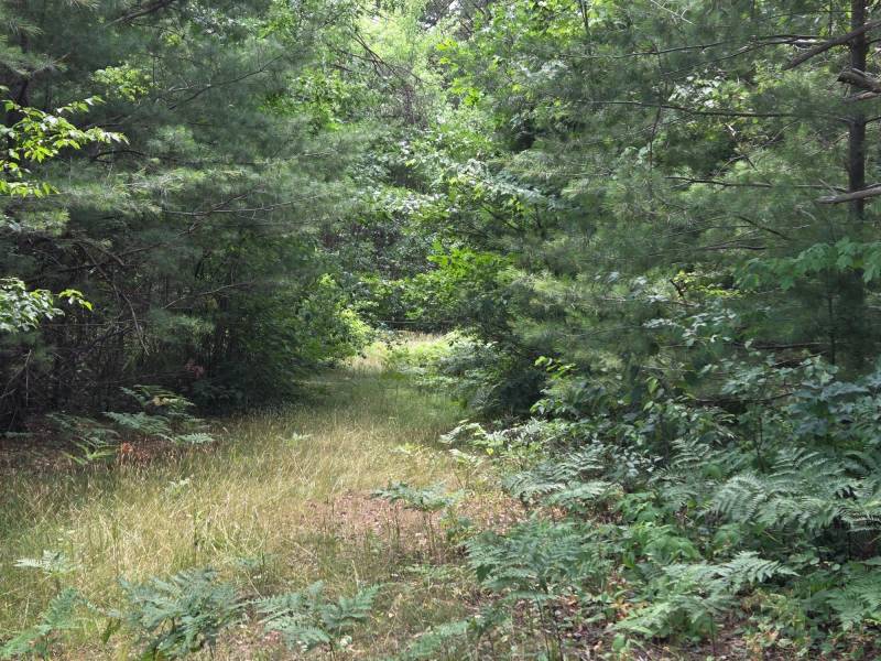 On Oak Ridge Rd, , Harshaw,  WI 54529 USA