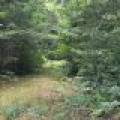 On Oak Ridge Rd, , Harshaw,  WI 54529 USA
