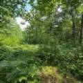 On Oak Ridge Rd, , Harshaw,  WI 54529 USA