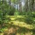 On Oak Ridge Rd, , Harshaw,  WI 54529 USA