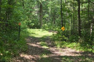 On Oak Ridge Rd, , Harshaw,  WI 54529 USA