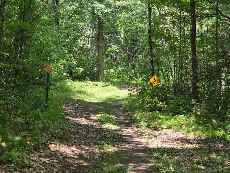 On Oak Ridge Rd, , Harshaw,  WI 54529 USA