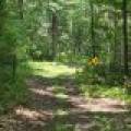 On Oak Ridge Rd, , Harshaw,  WI 54529 USA