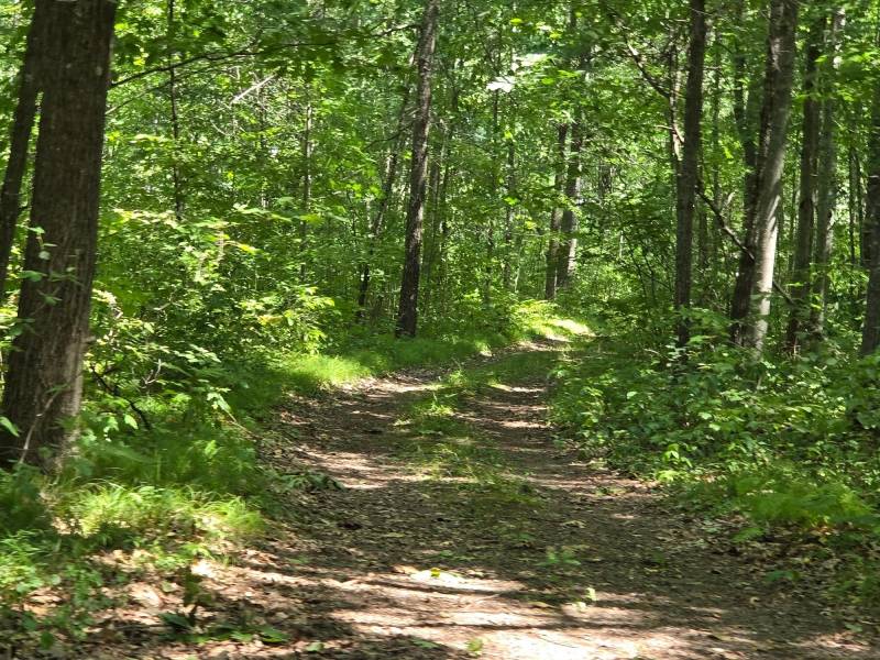 On Oak Ridge Rd, , Harshaw,  WI 54529 USA
