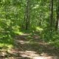 On Oak Ridge Rd, , Harshaw,  WI 54529 USA