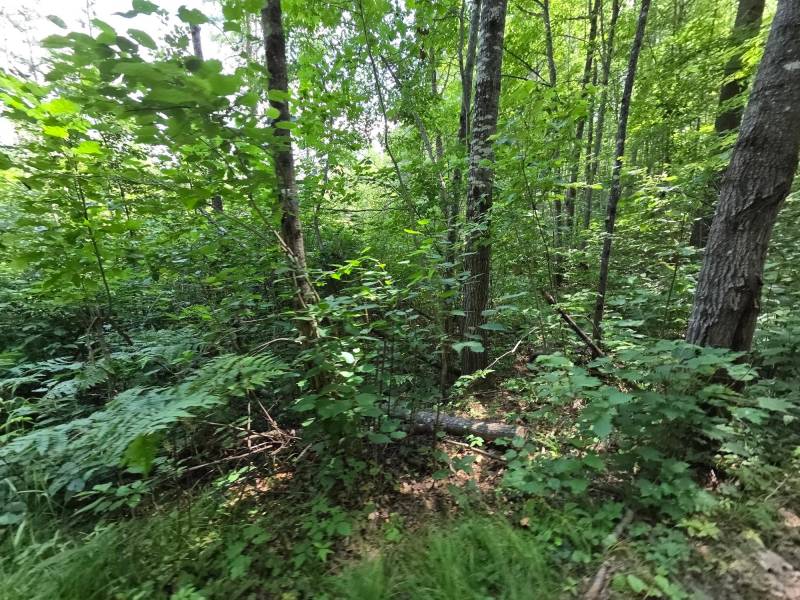 On Oak Ridge Rd, , Harshaw,  WI 54529 USA