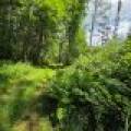 On Oak Ridge Rd, , Harshaw,  WI 54529 USA
