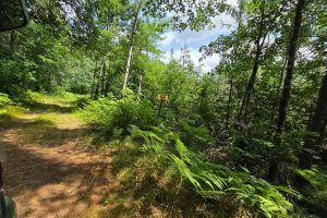 On Oak Ridge Rd, , Harshaw,  WI 54529 USA