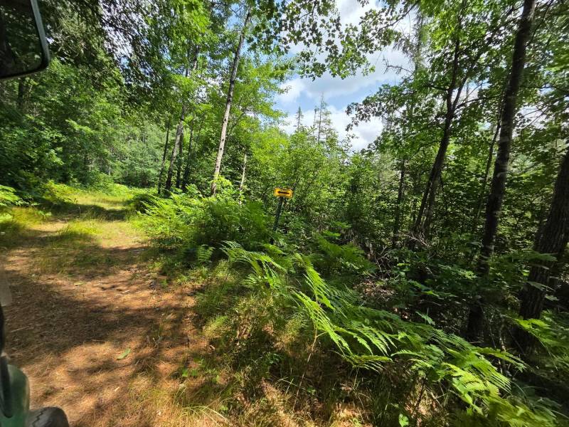 On Oak Ridge Rd, , Harshaw,  WI 54529 USA