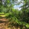 On Oak Ridge Rd, , Harshaw,  WI 54529 USA