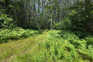 On Oak Ridge Rd, , Harshaw,  WI 54529 USA