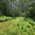 On Oak Ridge Rd, , Harshaw,  WI 54529 USA