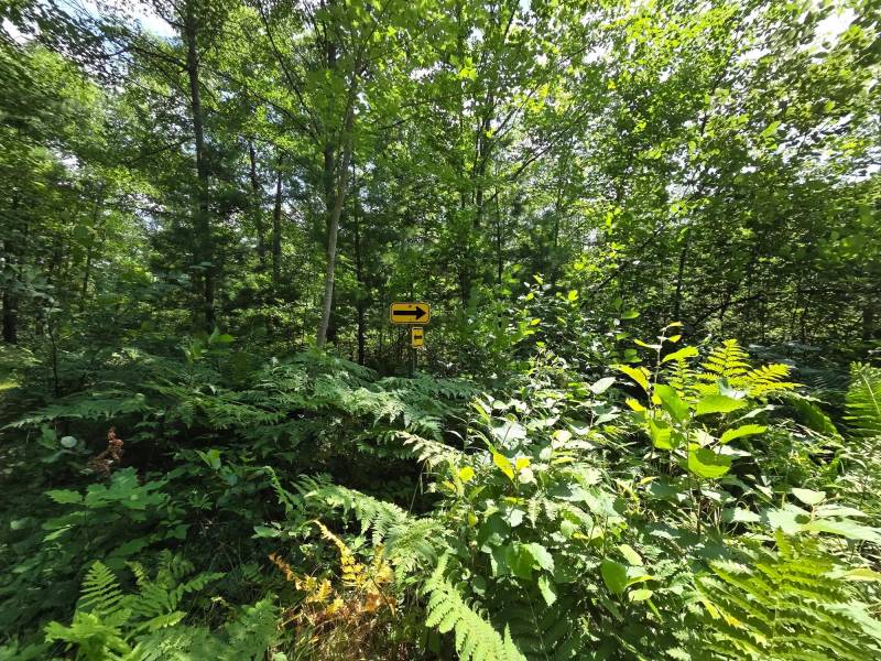 On Oak Ridge Rd, , Harshaw,  WI 54529 USA