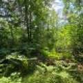 On Oak Ridge Rd, , Harshaw,  WI 54529 USA