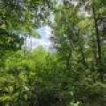 On Oak Ridge Rd, , Harshaw,  WI 54529 USA