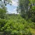 On Oak Ridge Rd, , Harshaw,  WI 54529 USA